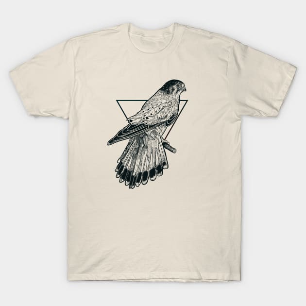 Sparrow Hawk T-Shirt by Alpine